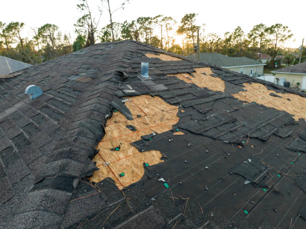 Best Roof Ventilation Installation  in Herald Harbor, MD